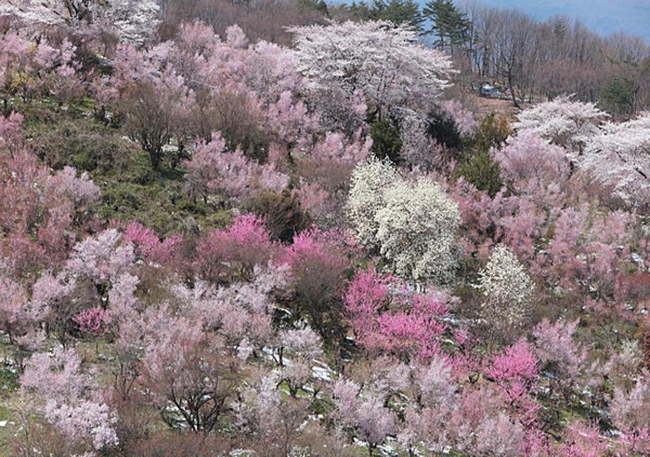 土湯温泉 やすらぎの宿 向瀧旅館 후쿠시마 외부 사진